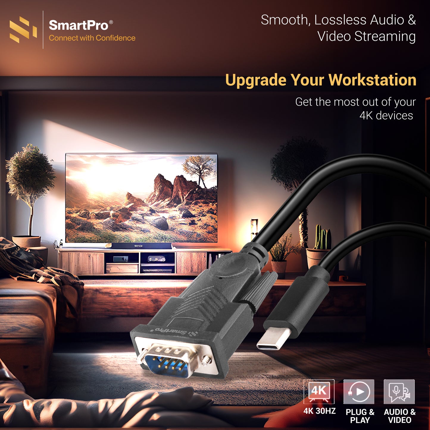 SmartPro Type C To RS 232 (9Pin +IC) With CD